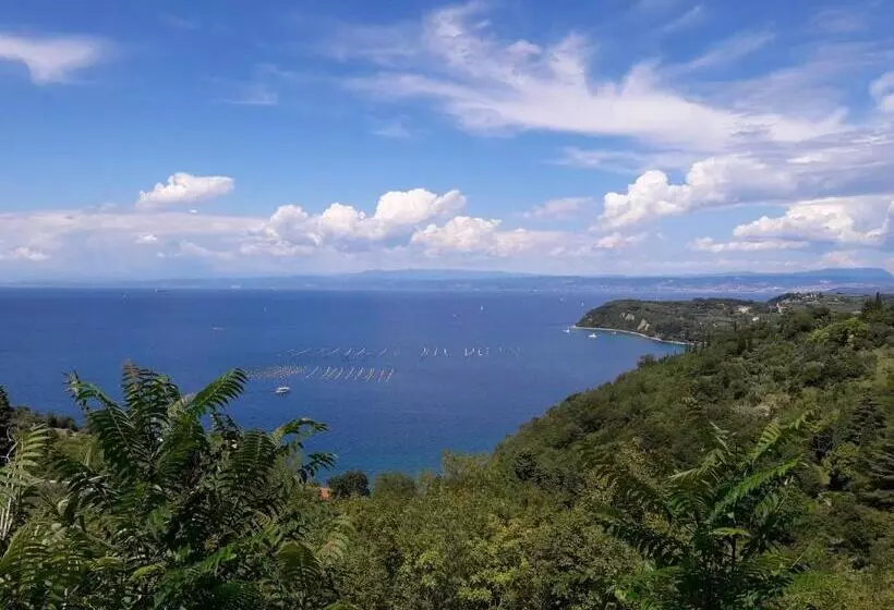 Apartma Kočevar Portorož