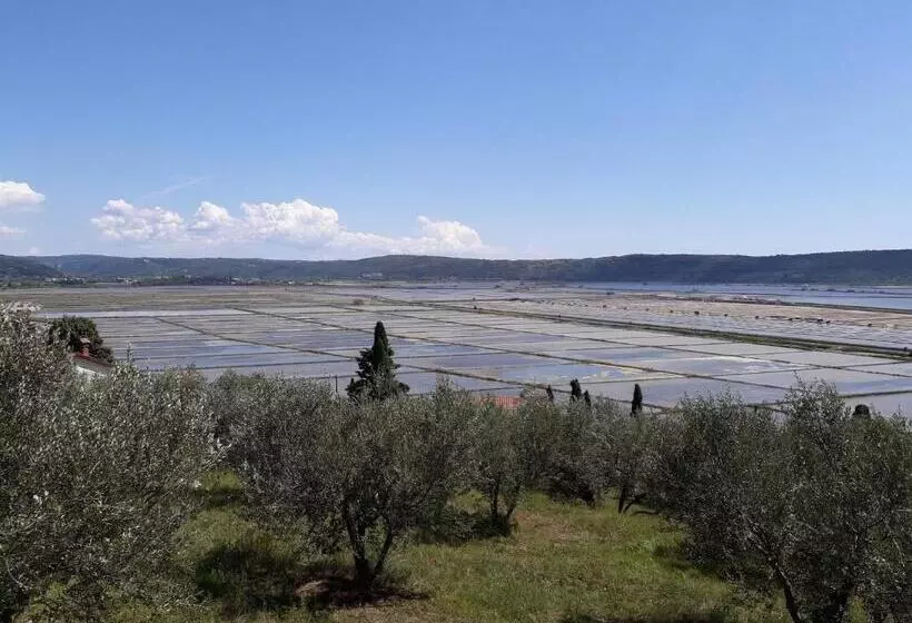 Apartma Kočevar Portorož