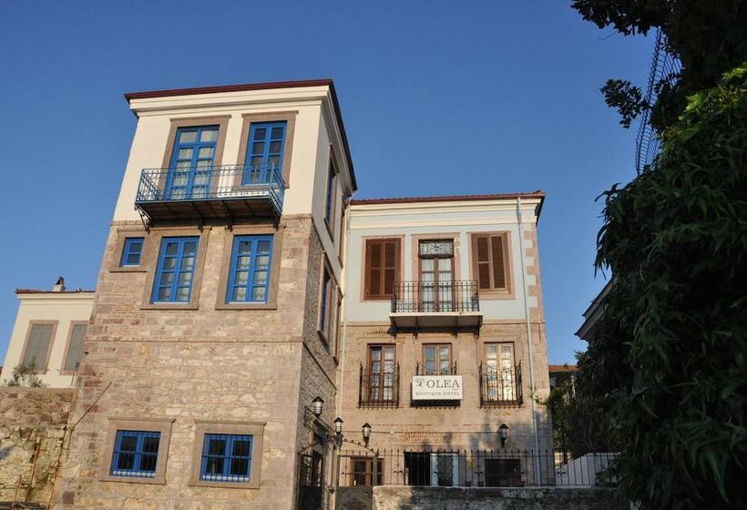 تختخواب و صبحانه Olea Leya Boutique