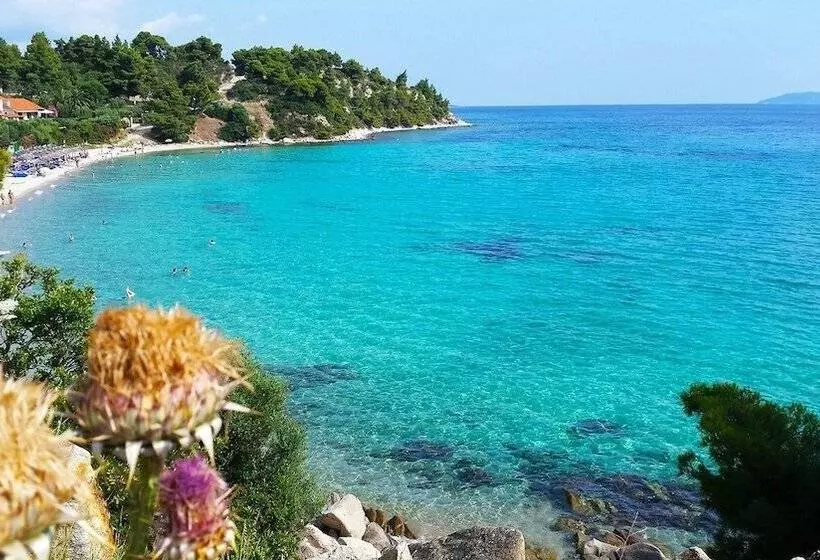 Caretta Village