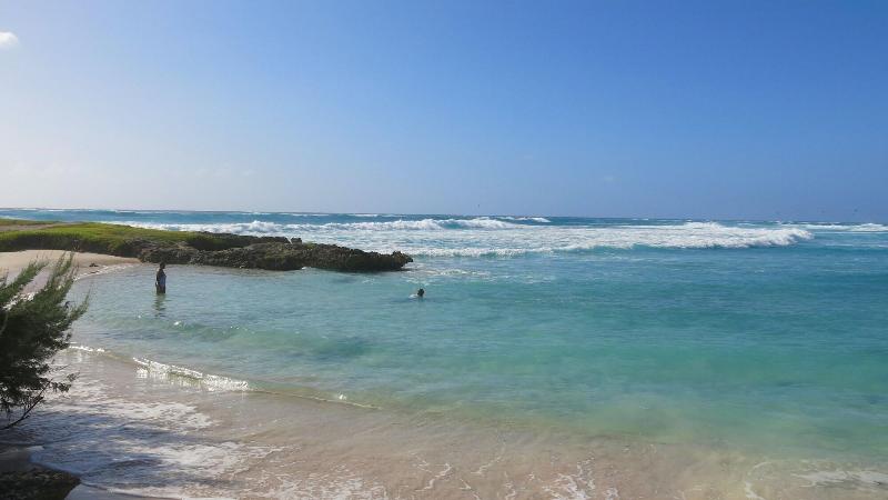 Gemini House Bed & Breakfast