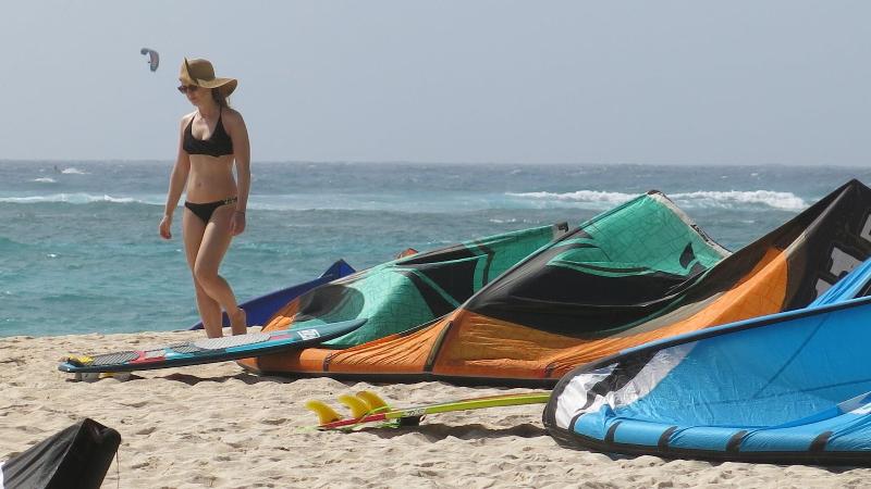 Gemini House Bed & Breakfast