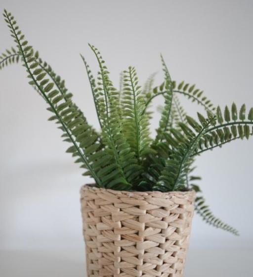 Hostel Wanderlust Osijek