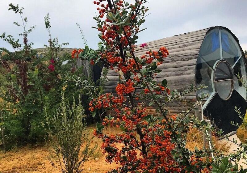 Отель Vadi Alacati