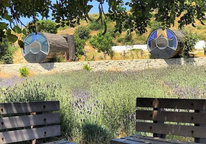 Отель Vadi Alacati