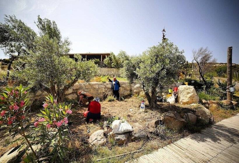 Отель Vadi Alacati