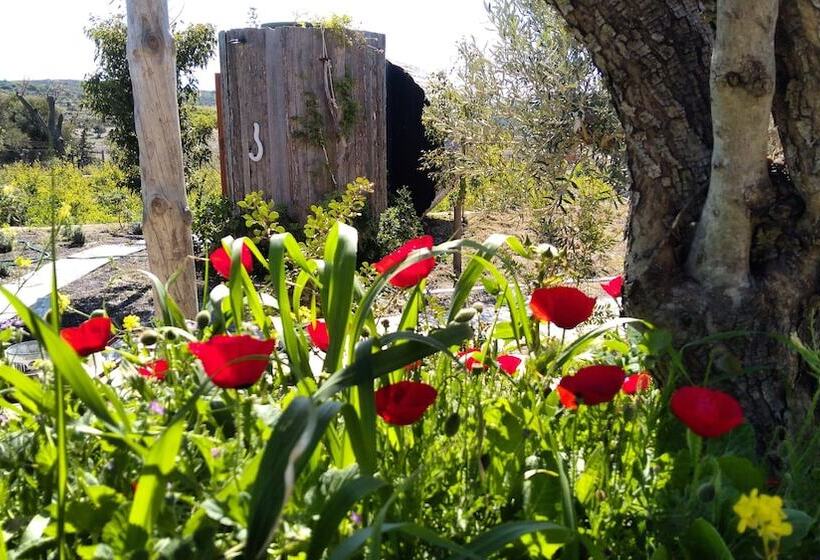 Отель Vadi Alacati