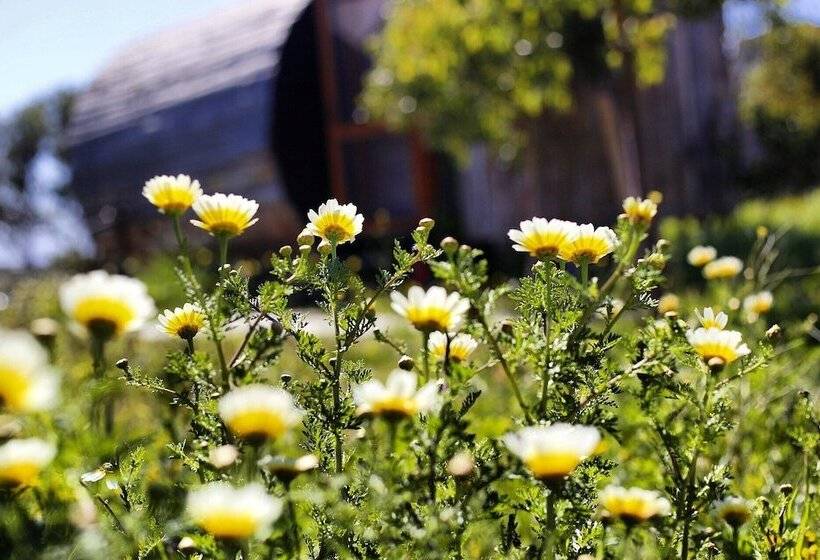 Отель Vadi Alacati