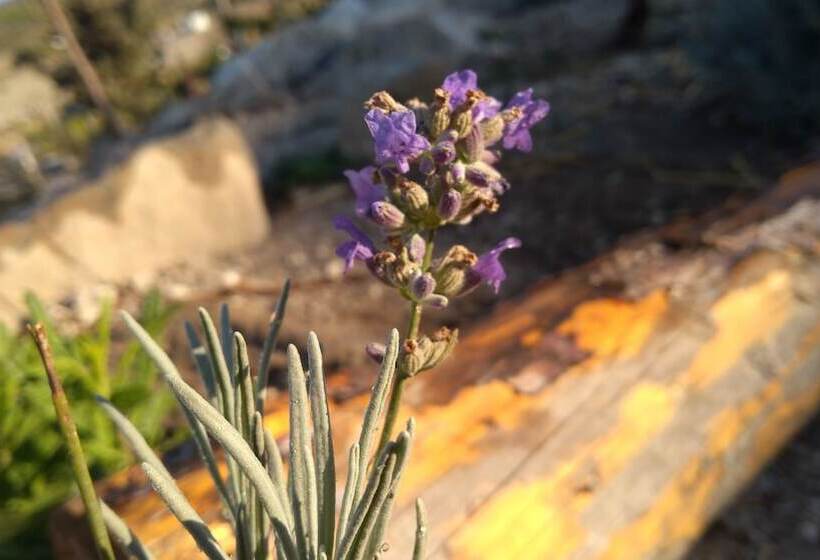 Отель Vadi Alacati