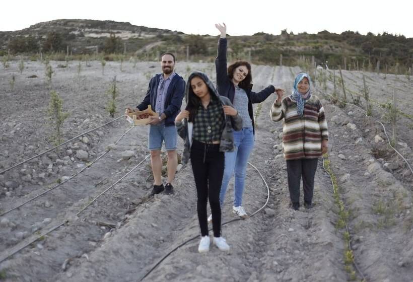 Отель Vadi Alacati