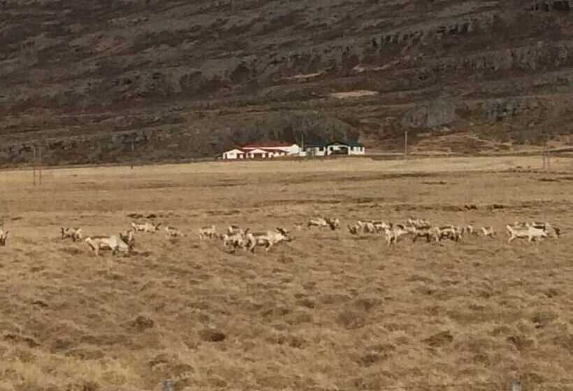 پانسیون Gljúfraborg