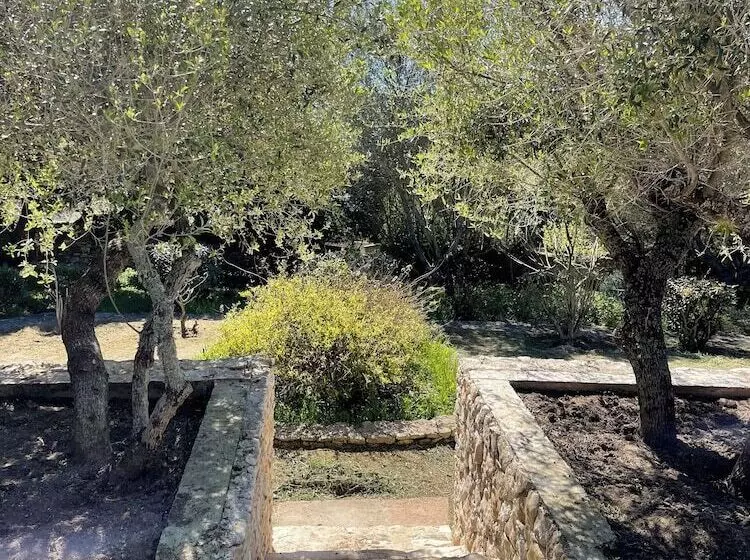 Aamiaismajoitus (B&B) Casa Martini