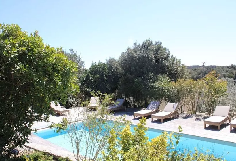 Aamiaismajoitus (B&B) Casa Martini