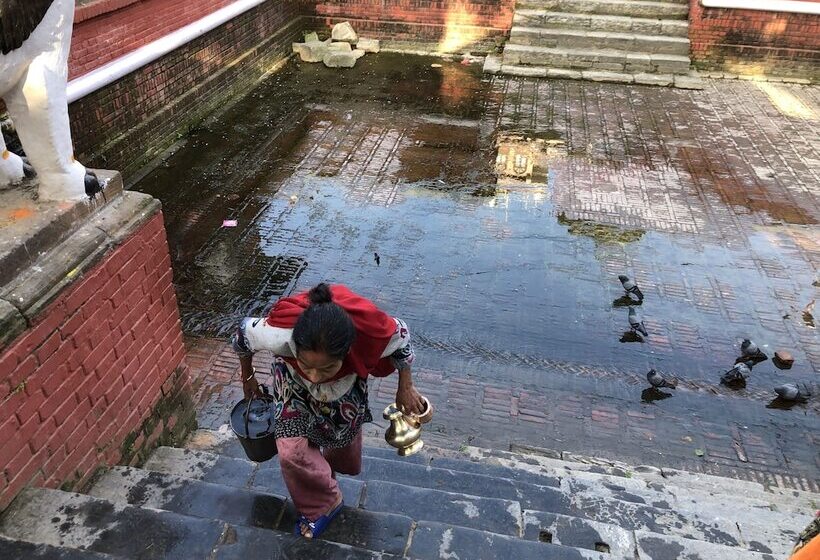 تختخواب و صبحانه Newa Chen Historic House Unesco