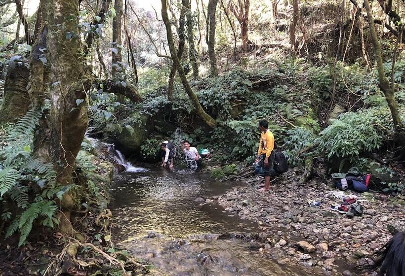 تختخواب و صبحانه Newa Chen Historic House Unesco