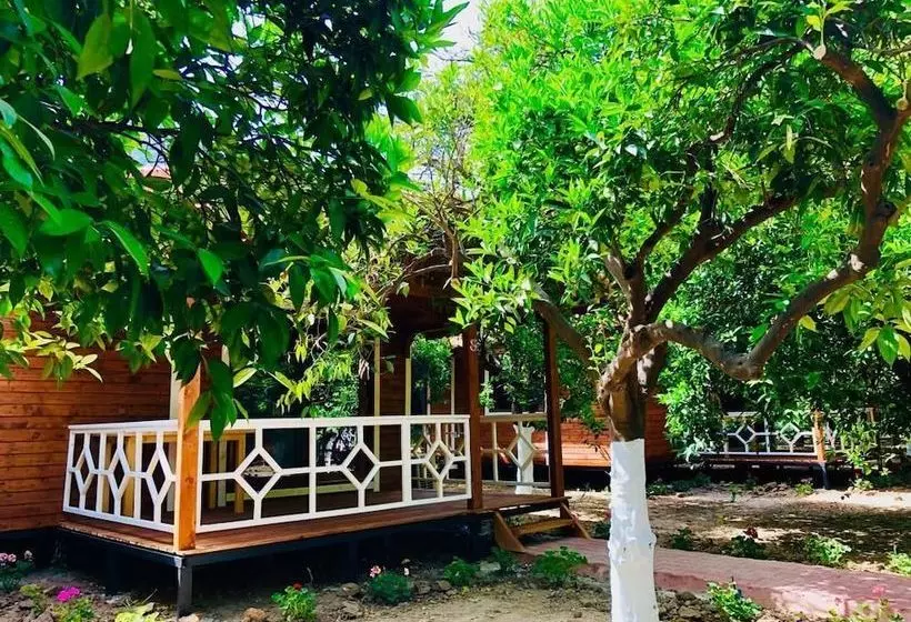 Eliz Inn Garden Apart Otel