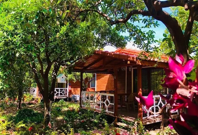 Eliz Inn Garden Apart Otel