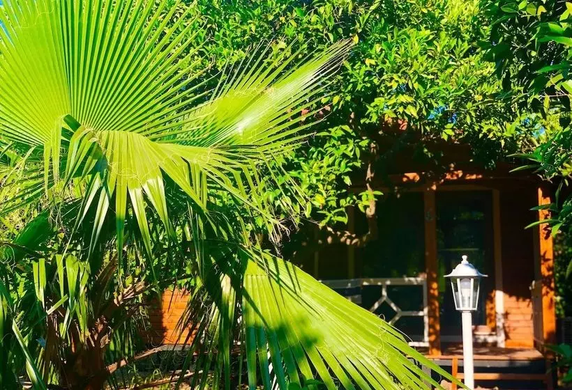 Eliz Inn Garden Apart Otel