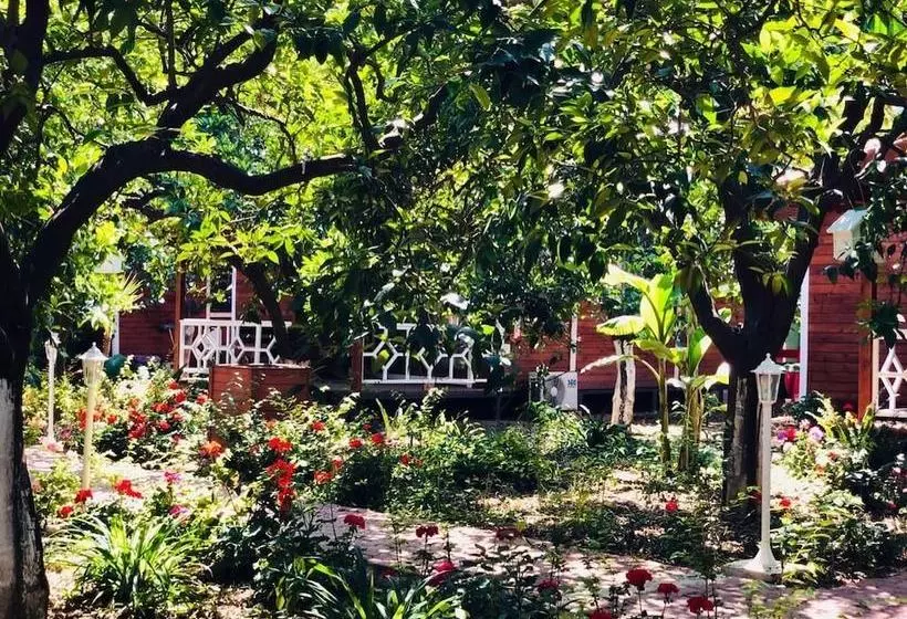 Eliz Inn Garden Apart Otel