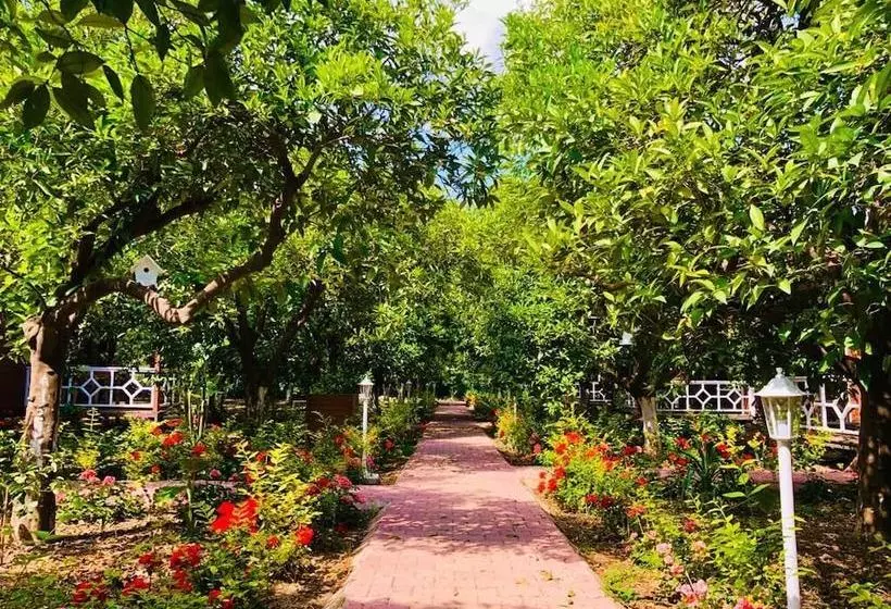 Eliz Inn Garden Apart Otel