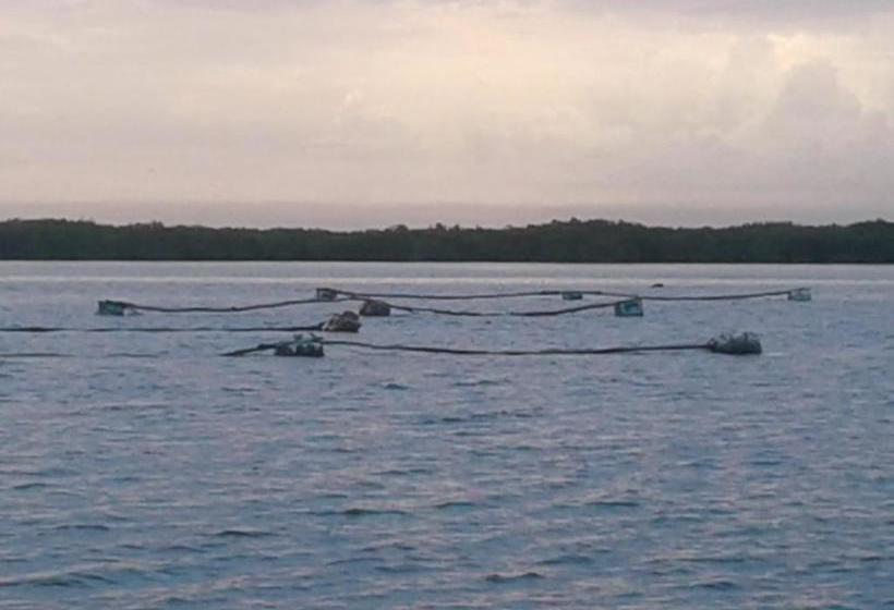 هتل Le Kinkéliba Lodge