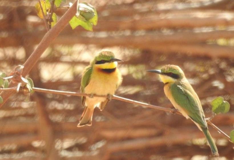 هتل Le Kinkéliba Lodge