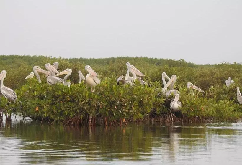 هتل Le Kinkéliba Lodge