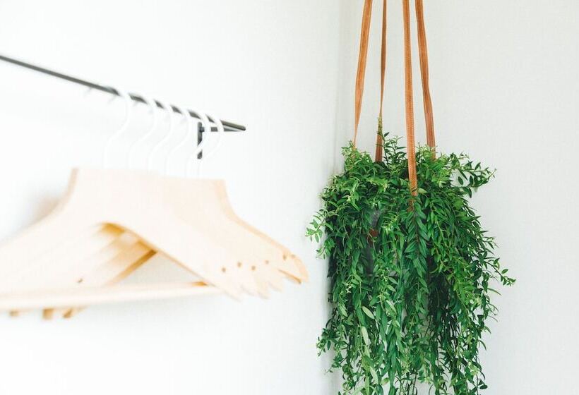 בית מלון כפרי Noum Osaka