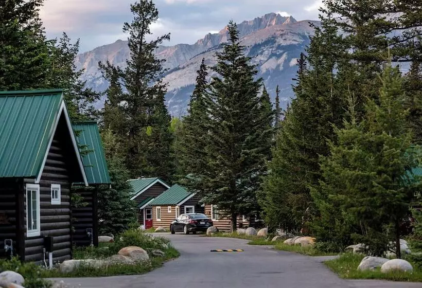Hotel Pine Bungalows