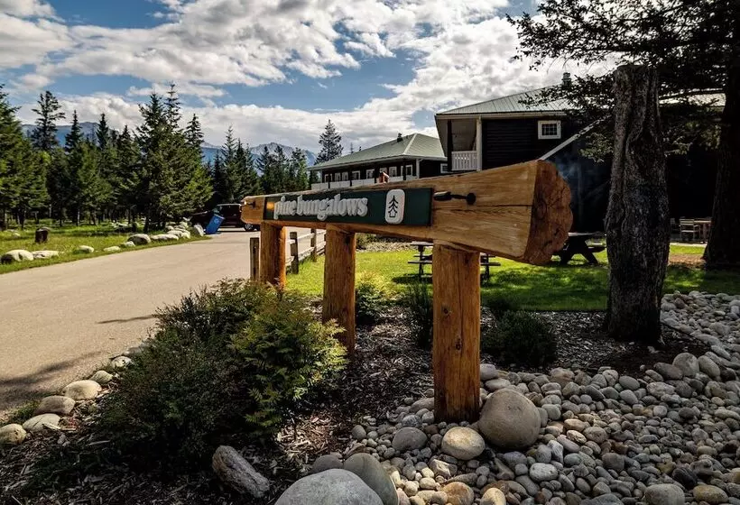 Hotel Pine Bungalows