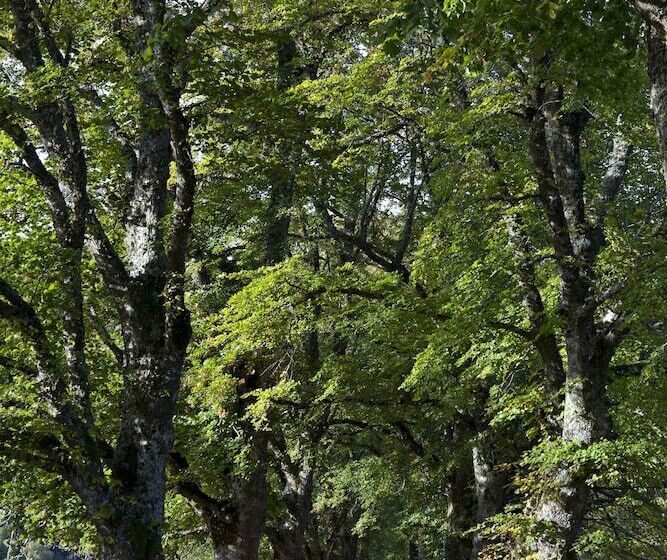 בית מלון כפרי Relais & Chateaux Serge Vieira