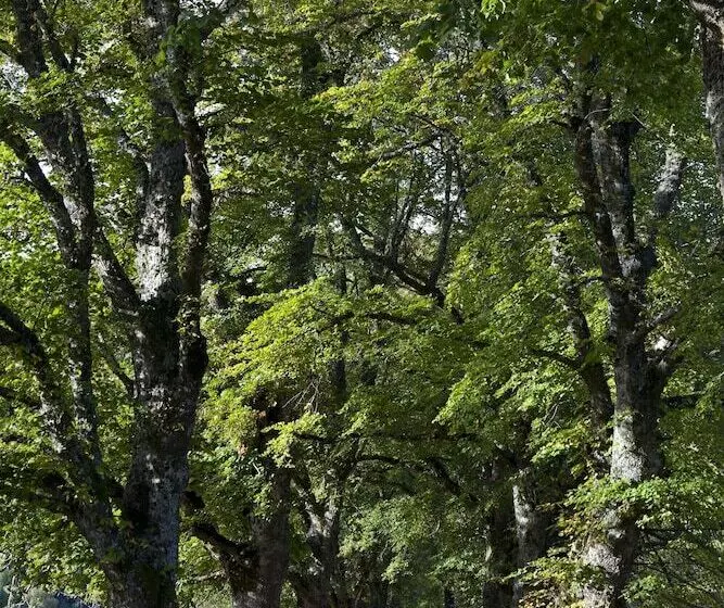 ホテル Relais & Chateaux Serge Vieira