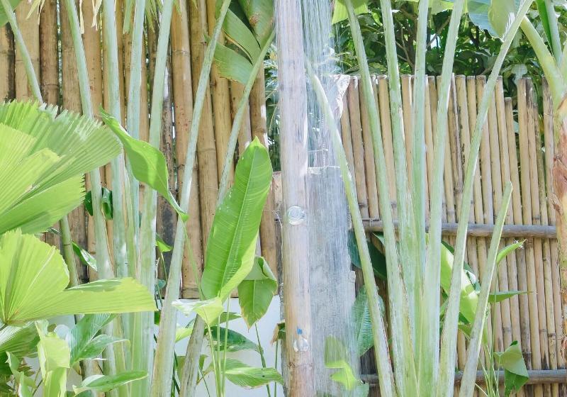 Отель Talisay Boutique