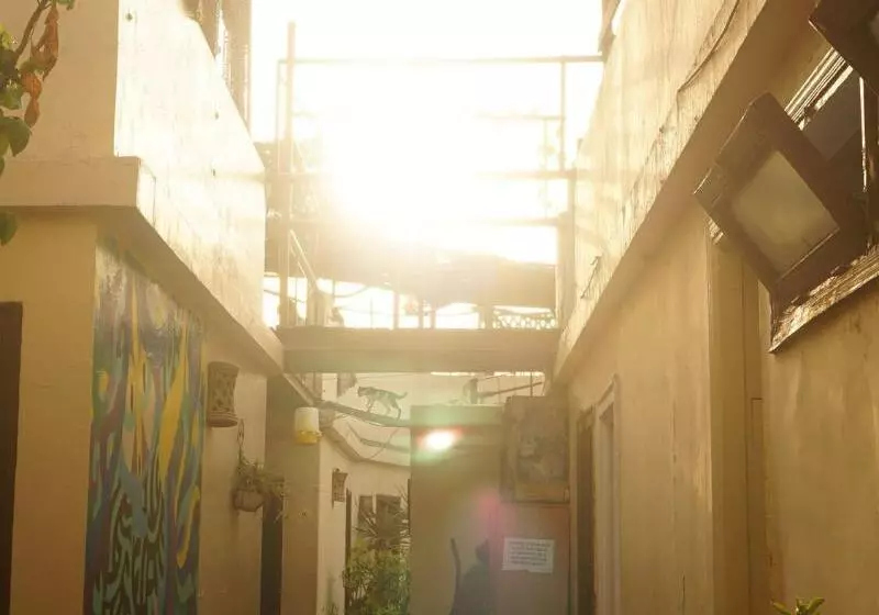 هتل Dahab Hostel