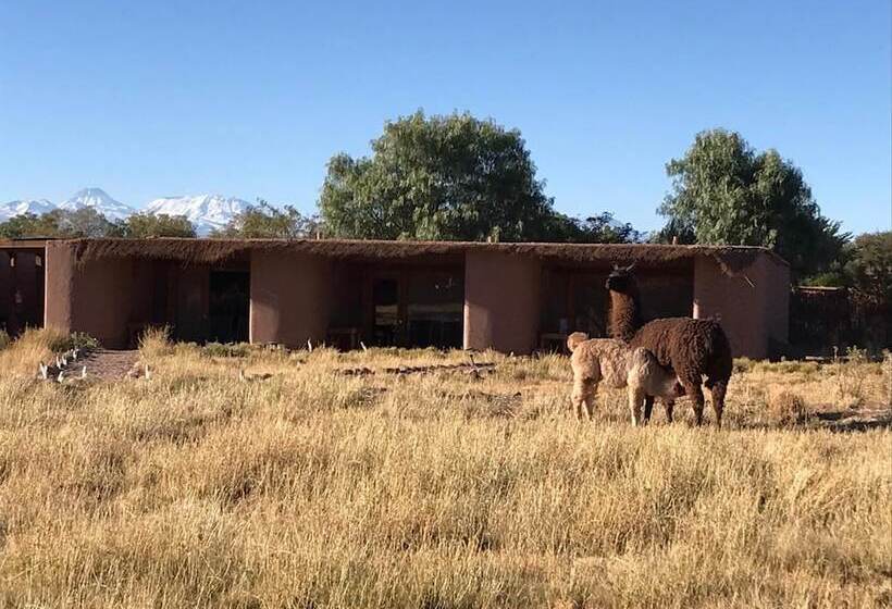 בית מלון כפרי Eco Lodge El Andinista