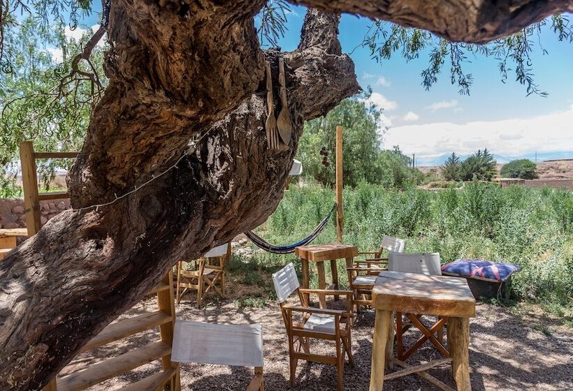 בית מלון כפרי Eco Lodge El Andinista