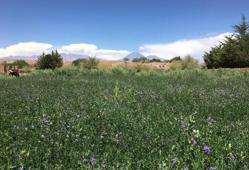 בית מלון כפרי Eco Lodge El Andinista