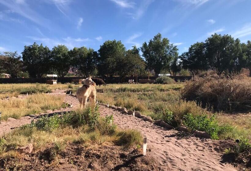 בית מלון כפרי Eco Lodge El Andinista