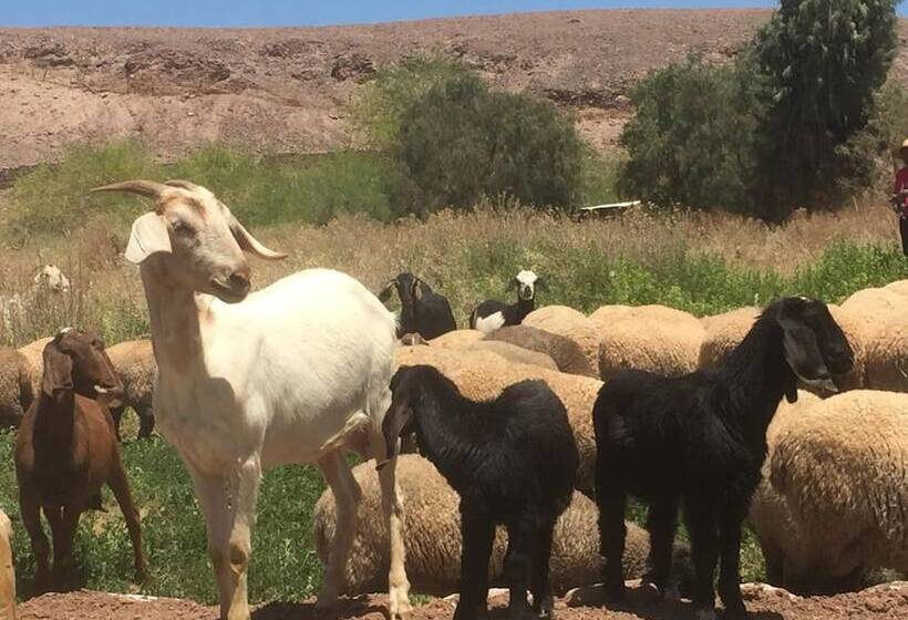 בית מלון כפרי Eco Lodge El Andinista