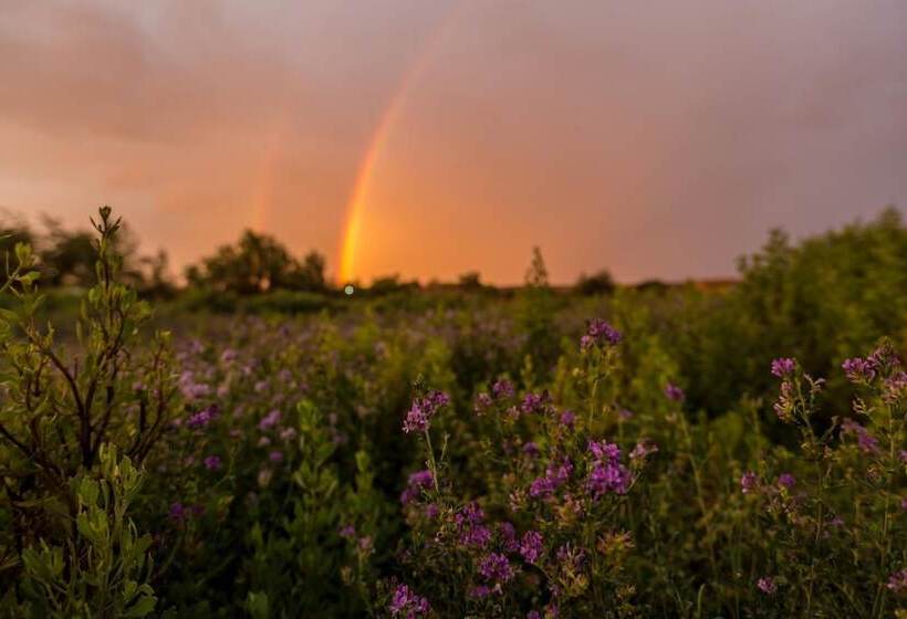 בית מלון כפרי Eco Lodge El Andinista
