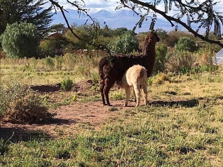 בית מלון כפרי Eco Lodge El Andinista