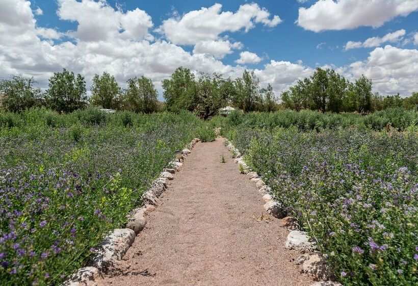 בית מלון כפרי Eco Lodge El Andinista