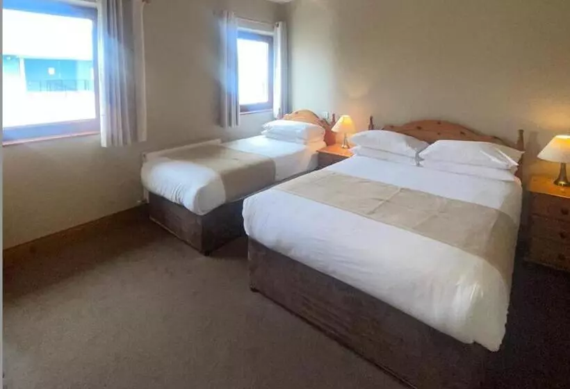 ペンション Dingle Harbour Nights   Room Only