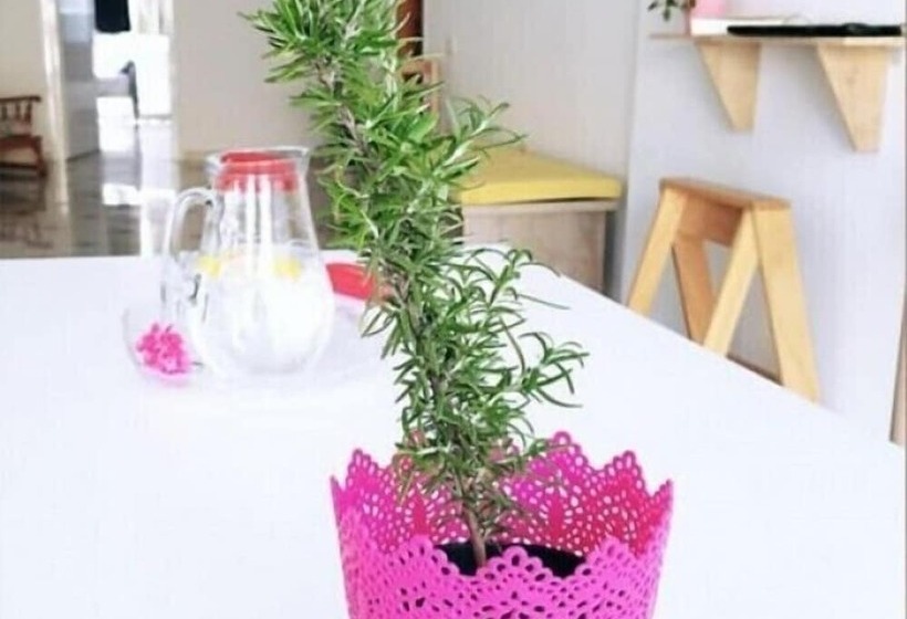 Hostel Hasta La Vista