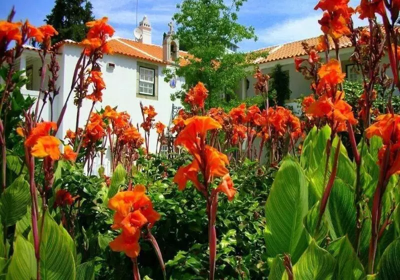 Majatalo Casa Da Azenha