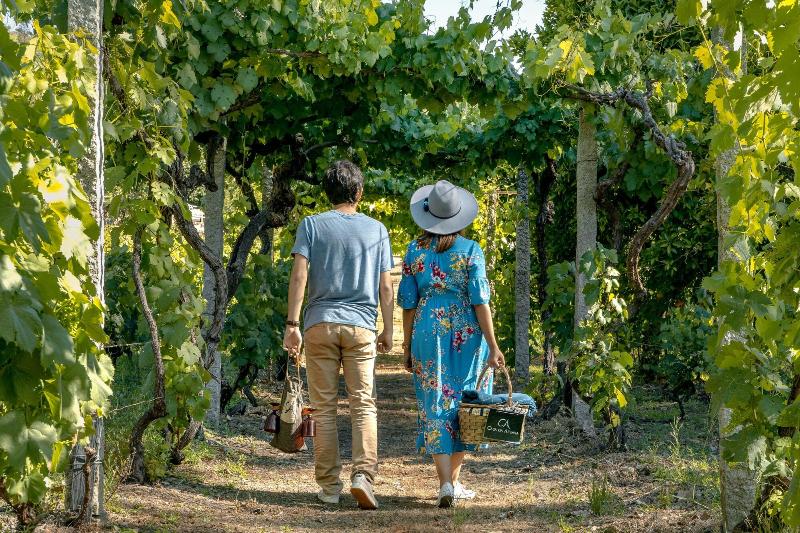 膳宿费 Casa Da Azenha