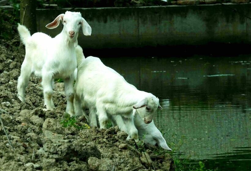 Pansiyon Csdy Guesthouse