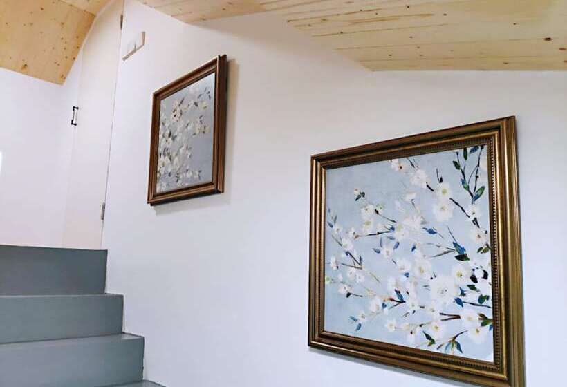 Pansiyon Csdy Guesthouse