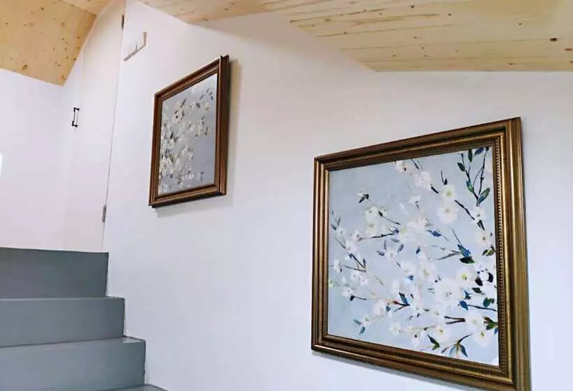 پانسیون Csdy Guesthouse