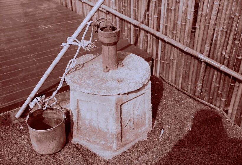 Pansiyon Csdy Guesthouse